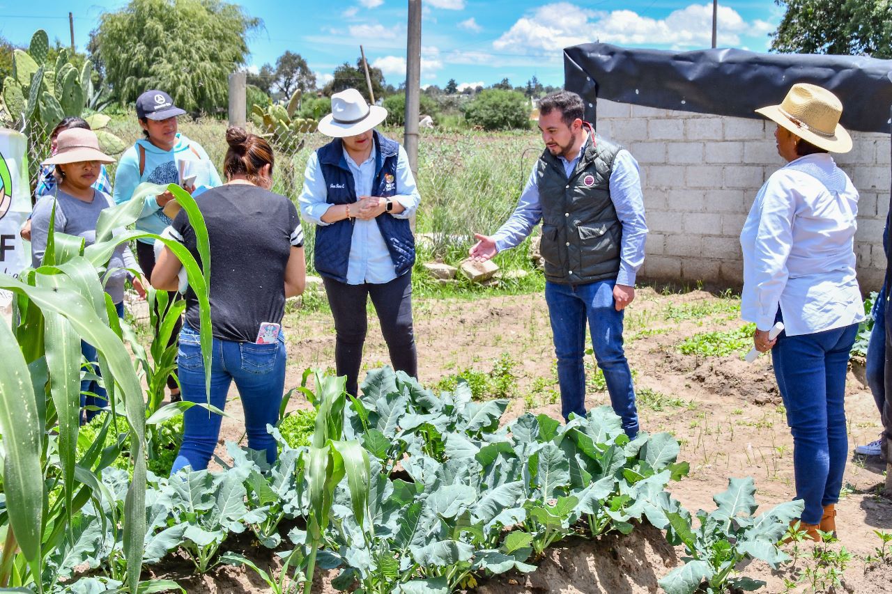 Invita SMDIF Huamantla al programa 'Salvando tu alimentación con hortalizas orgánicas'